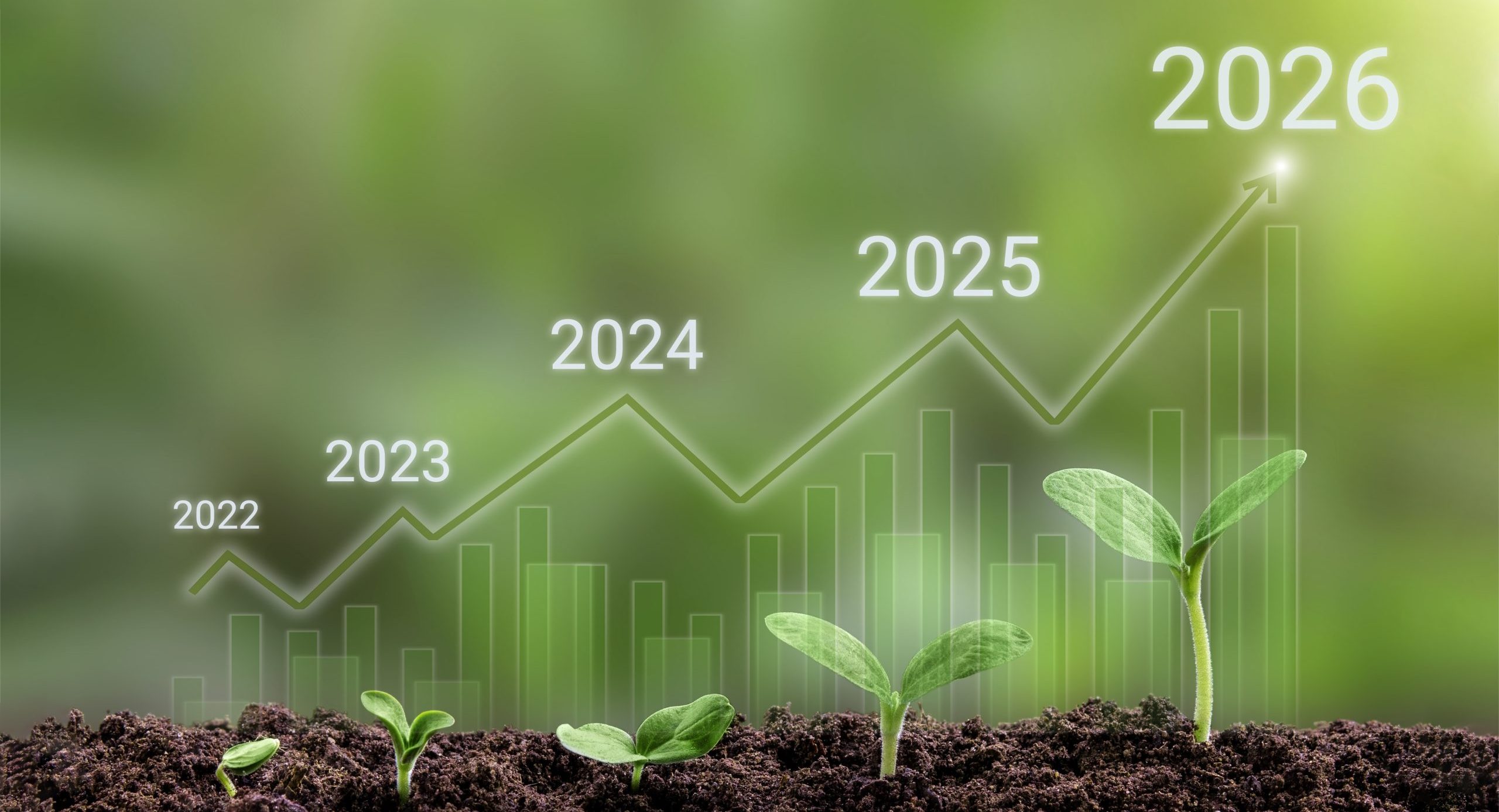 green,seedling,are,growing,from,rich,soil.,business,growth,,development